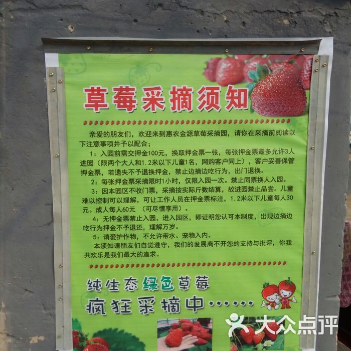 惠农金源草莓采摘园