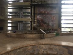 -南宫温泉水世界