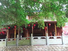 -神光山国家森林公园