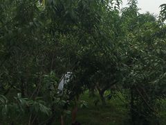 -白鹭湾湿地公园