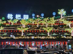 -枇杷园食为鲜火锅(南山店)