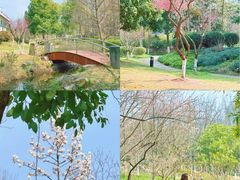 -月湖风景区