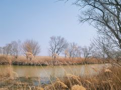 -南大港湿地风景区