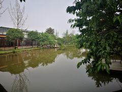 -洪湖家庭农场·团建·露营·会议