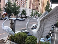 -连鹭海鲜·海肠捞饭·海胆饭(星海店)