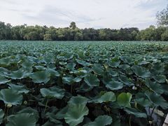 -长春市南湖公园