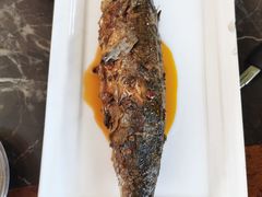 -日新铁锅焖面(坝上店)