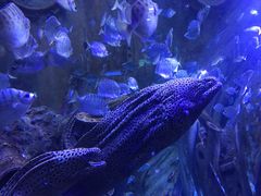 -成都浩海立方海洋公园