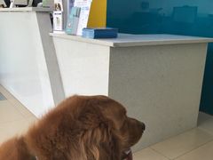 -美迦爱-牙专科·兔科·骨科诊疗中心(北苑店)