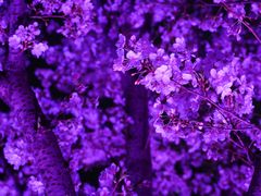 -西北湖绿化广场