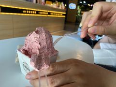 -野人牧坊Gelato(天津南开大悦城店)