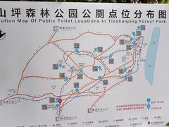 -铁山坪森林公园