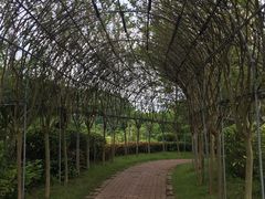 -美的鹭湖探索王国