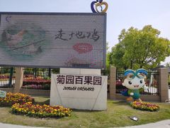 -菊园百果园