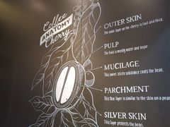 -星巴克(舟山蜈蚣峙店)