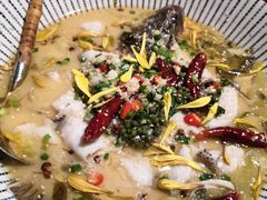 -大榕树下顺德菜(融创茂店)