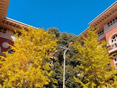 -长沙市青少年宫