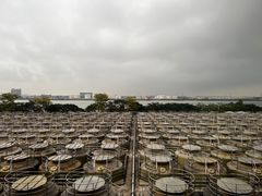 -厨邦酱油文化博览馆