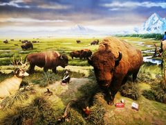 -陕西自然博物馆