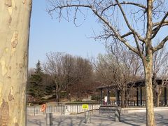 -大望京公园