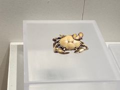 -镇江博物馆