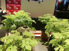 -杏花村水席楼·洛阳水席(老城十字街店)