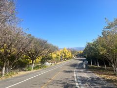 -西昌邛海湿地