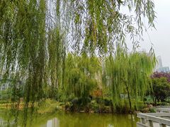 -木塔寺遗址生态公园