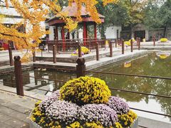 -香山公园