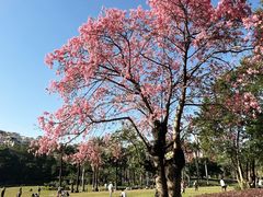 -荔香公园