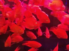 -M-SHOW 米秀主题KTV(左岸印巷店)