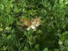 -上海市长宁区天山中医医院