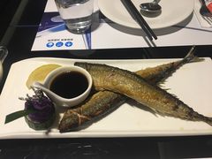 -法兰度航空主题餐厅(台山昌大昌店)