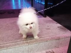 -燥次·烧烤酒场(万象城店)