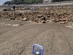 -燕儿岛山公园