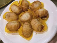 -大富贵(旗舰店)