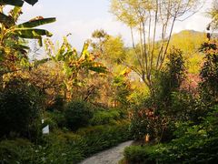 -腾冲洞山温泉村