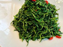 红果枸杞苗-清真·宁夏印象·盐池滩羊肉体验店(江宁路店)
