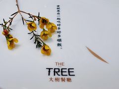 餐具摆设-大树餐厅(朝阳大悦城店)