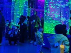 -海合安成都极地海洋公园