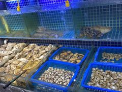 -必点海鲜·鲅鱼水饺(鞍山西道店)