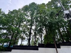-1912街区