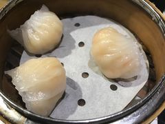 -糖朝(尖沙咀店)