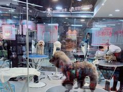 -宠物世家(仲盛世界商城店)