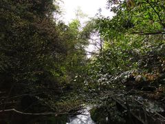 -藏龙百瀑风景区