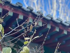 -丰台花园