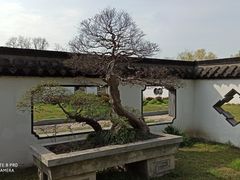 -扬州大运河文化旅游度假区·盆景园