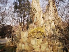 -山东大学(趵突泉校区)