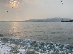 -养马岛旅游度假区
