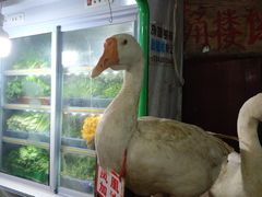 -龚师傅土菜馆.地道农家菜(魅力湘西店)